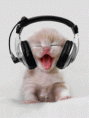 /album/vselico-xd/coolkitten-m9u8cn66-gif/